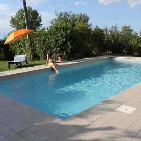 Agli Ulivi Di Mascio *