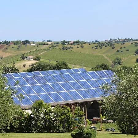 B&B Agli Ulivi Di Mascio