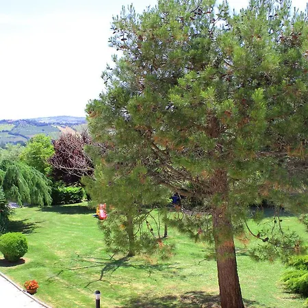 Agli Ulivi Di Mascio *