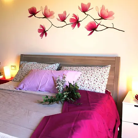 Agli Ulivi Di Mascio B&B Ostra Vetere