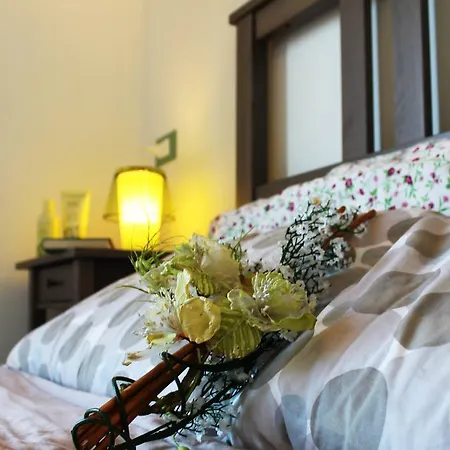 Agli Ulivi Di Mascio *