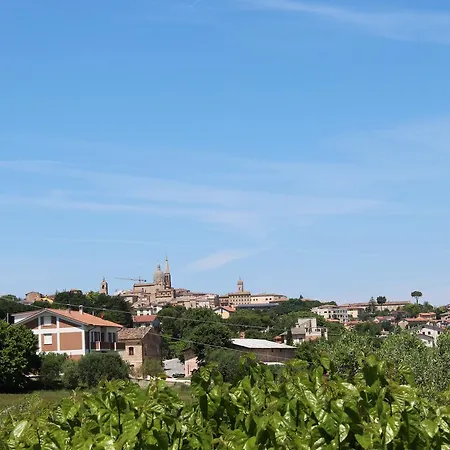 Agli Ulivi Di Mascio Bed & Breakfast Ostra Vetere
