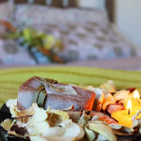 Agli Ulivi Di Mascio B&B