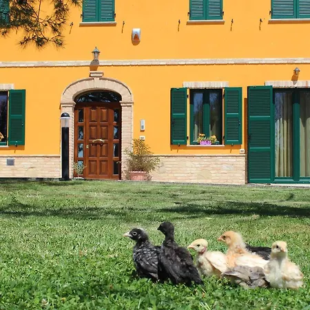 Nocleg ze śniadaniem Agli Ulivi Di Mascio Ostra Vetere