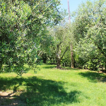 Agli Ulivi Di Mascio Bed & Breakfast Ostra Vetere