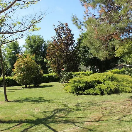 Nocleg ze śniadaniem Agli Ulivi Di Mascio Ostra Vetere